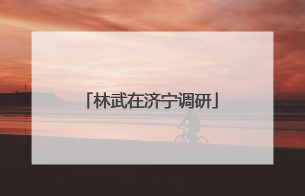 林武在济宁调研