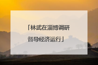 林武在淄博调研督导经济运行