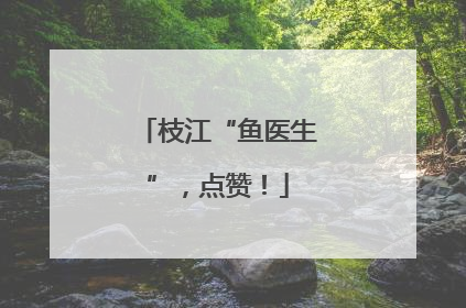 枝江“鱼医生”，点赞！