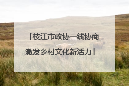 枝江市政协一线协商激发乡村文化新活力