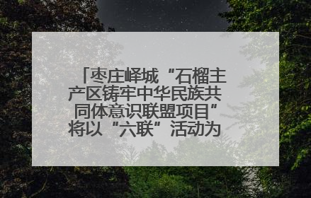 枣庄峄城“石榴主产区铸牢中华民族共同体意识联盟项目”将以“六联”活动为抓手深化品牌建设