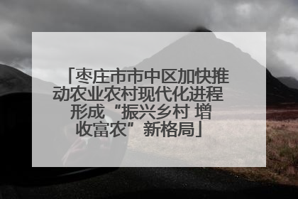 枣庄市市中区加快推动农业农村现代化进程 形成“振兴乡村 增收富农”新格局