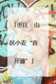 枣庄：山区小麦“喜开镰”