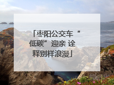 枣阳公交车“低碳”迎亲 诠释别样浪漫