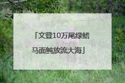 文登10万尾绿鳍马面鲀放流大海
