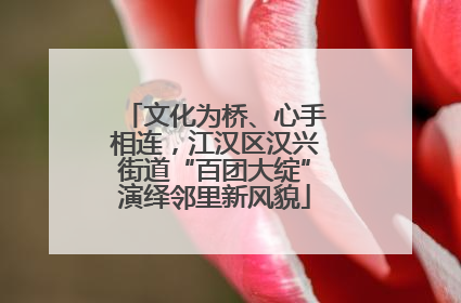 文化为桥、心手相连，江汉区汉兴街道“百团大绽”演绎邻里新风貌