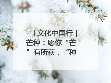 文化中国行｜芒种：愿你“芒”有所获，“种”有所得