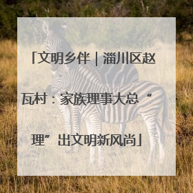 文明乡伴｜淄川区赵瓦村：家族理事大总“理”出文明新风尚