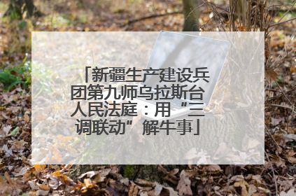 新疆生产建设兵团第九师乌拉斯台人民法庭：用“三调联动”解牛事