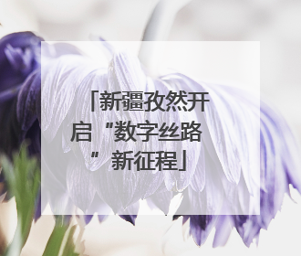 新疆孜然开启“数字丝路”新征程
