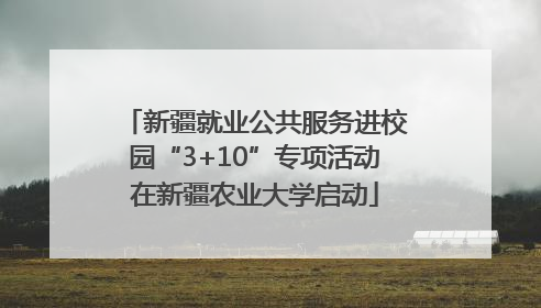 新疆就业公共服务进校园“3+10”专项活动在新疆农业大学启动