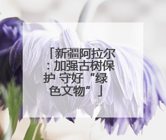 新疆阿拉尔：加强古树保护 守好“绿色文物”
