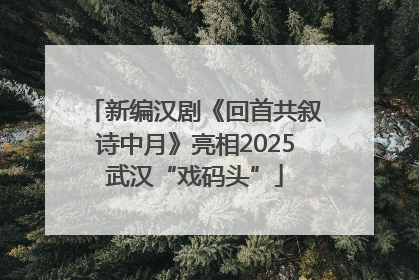 新编汉剧《回首共叙诗中月》亮相2025武汉“戏码头”