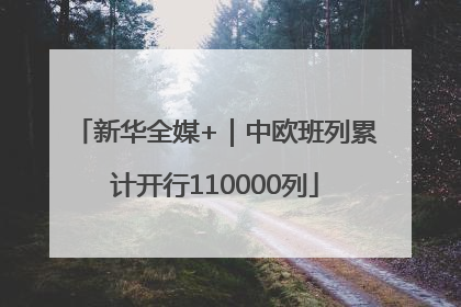 新华全媒+｜中欧班列累计开行110000列