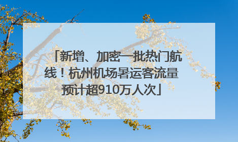 新增、加密一批热门航线！杭州机场暑运客流量预计超910万人次
