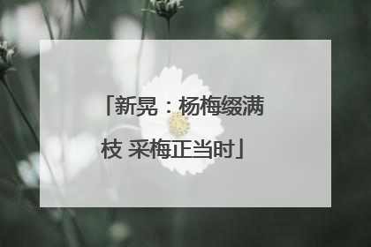 新晃：杨梅缀满枝 采梅正当时