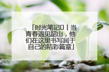 时光笔记⑪丨当青春遇见韶山，他们在这里书写属于自己的精彩篇章