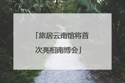 旅居云南馆将首次亮相南博会