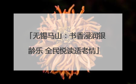 无锡马山：书香浸润银龄乐 全民悦读适老情
