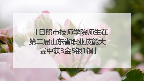 日照市技师学院师生在第二届山东省职业技能大赛中获3金5银1铜