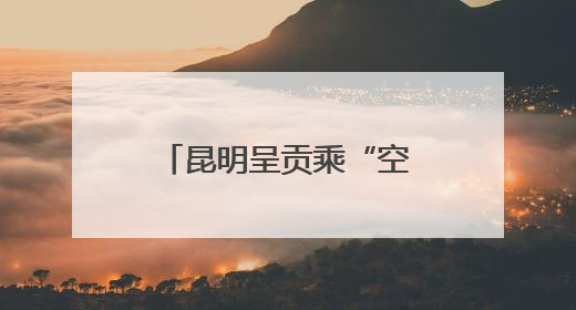 昆明呈贡乘“空”而上 逐梦低空经济新蓝海