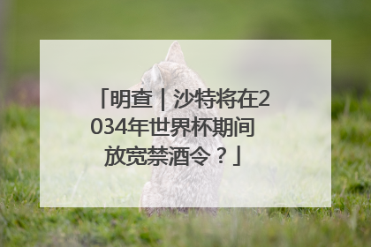 明查｜沙特将在2034年世界杯期间放宽禁酒令？