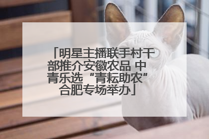 明星主播联手村干部推介安徽农品 中青乐选“青耘助农”合肥专场举办