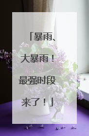 暴雨、大暴雨！最强时段来了！