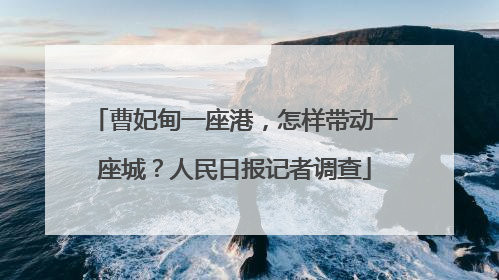 曹妃甸一座港，怎样带动一座城？人民日报记者调查