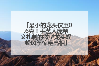 最小的龙头仅重0.6克！手艺人庞希文扎制的微型龙头蜈蚣风筝惊艳亮相