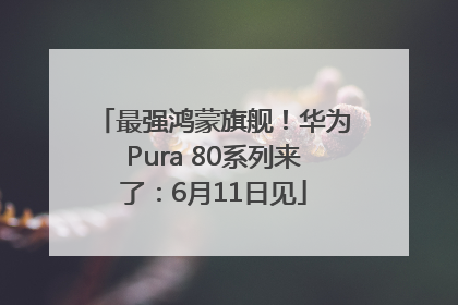 最强鸿蒙旗舰！华为Pura 80系列来了：6月11日见