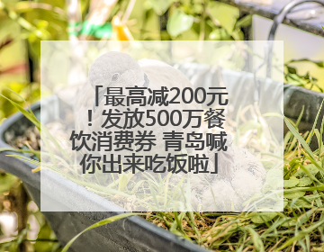 最高减200元！发放500万餐饮消费券 青岛喊你出来吃饭啦