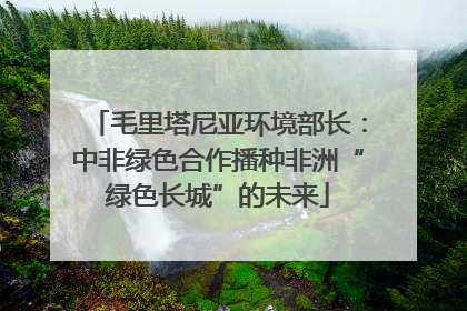 毛里塔尼亚环境部长：中非绿色合作播种非洲“绿色长城”的未来