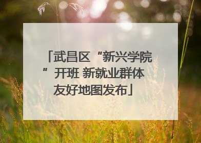 武昌区“新兴学院”开班 新就业群体友好地图发布