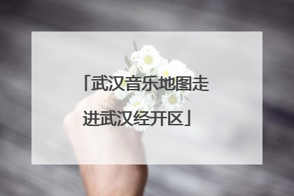 武汉音乐地图走进武汉经开区