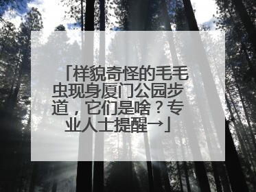 样貌奇怪的毛毛虫现身厦门公园步道，它们是啥？专业人士提醒→