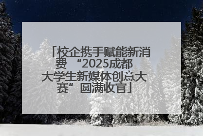 校企携手赋能新消费 “2025成都大学生新媒体创意大赛”圆满收官