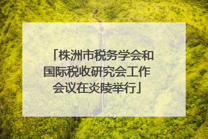 株洲市税务学会和国际税收研究会工作会议在炎陵举行