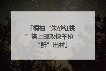桐柏“朱砂红桃”搭上邮政快车抢“鲜”出村