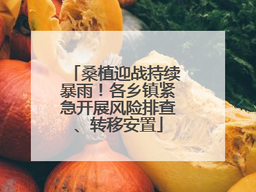 桑植迎战持续暴雨！各乡镇紧急开展风险排查、转移安置