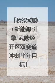 桥梁动脉+新能源引擎 武陟经开区双赛道冲刺半年目标