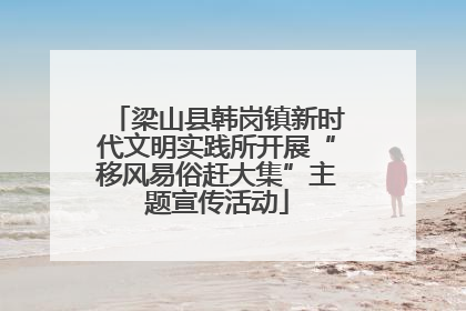 梁山县韩岗镇新时代文明实践所开展“移风易俗赶大集”主题宣传活动