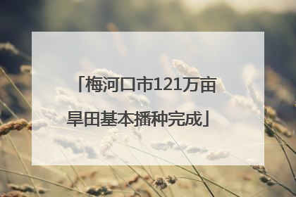 梅河口市121万亩旱田基本播种完成