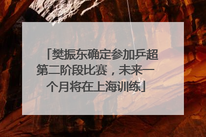 樊振东确定参加乒超第二阶段比赛，未来一个月将在上海训练
