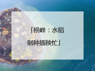 横峰：水稻制种插秧忙