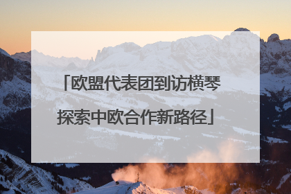 欧盟代表团到访横琴 探索中欧合作新路径
