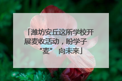 潍坊安丘这所学校开展麦收活动，盼学子 “麦” 向未来