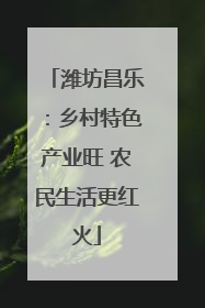潍坊昌乐：乡村特色产业旺 农民生活更红火