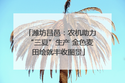 潍坊昌邑：农机助力“三夏”生产 金色麦田绘就丰收图景