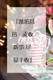 潍坊昌邑：麦收新事 尽显丰收